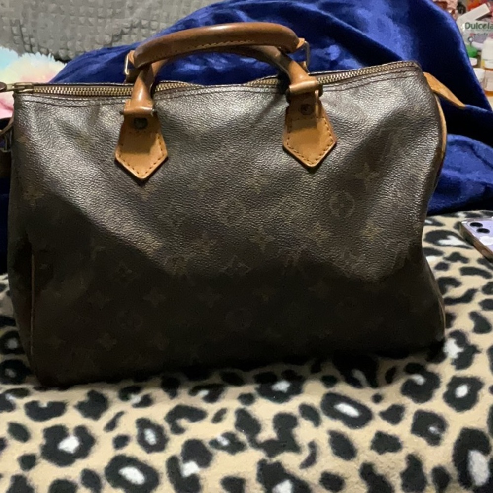 Louis Vuitton hand bag